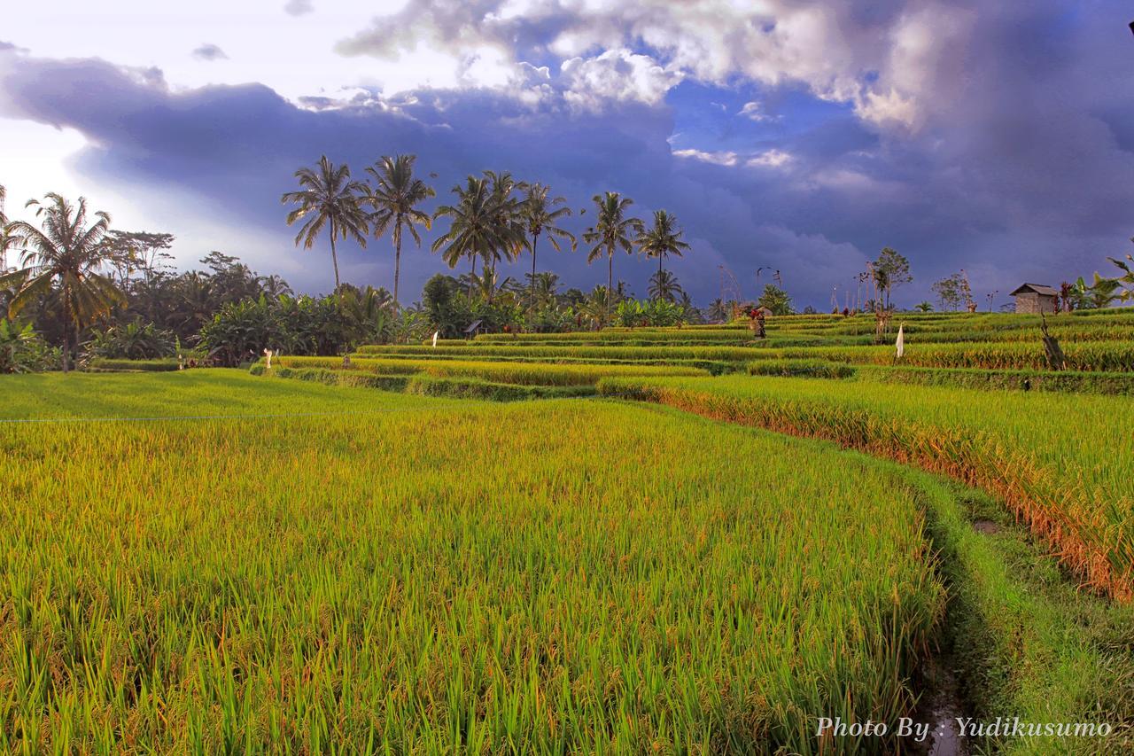 Tetirah Boutique Hotel Ubud Exterior foto